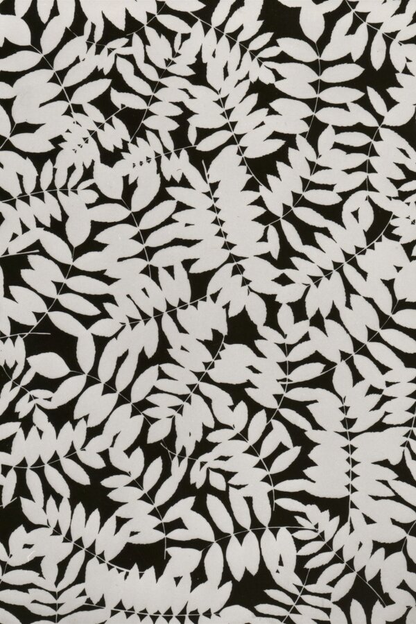 pohlednice s dílem Pavla Hayeka